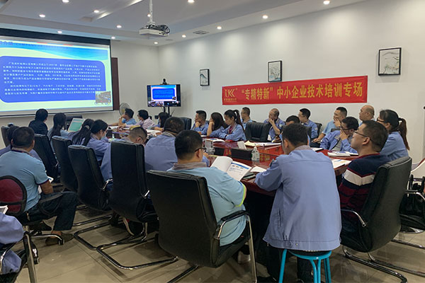 助力“专精特新”企业，优科走进嘉龙海杰开展专场技术培训